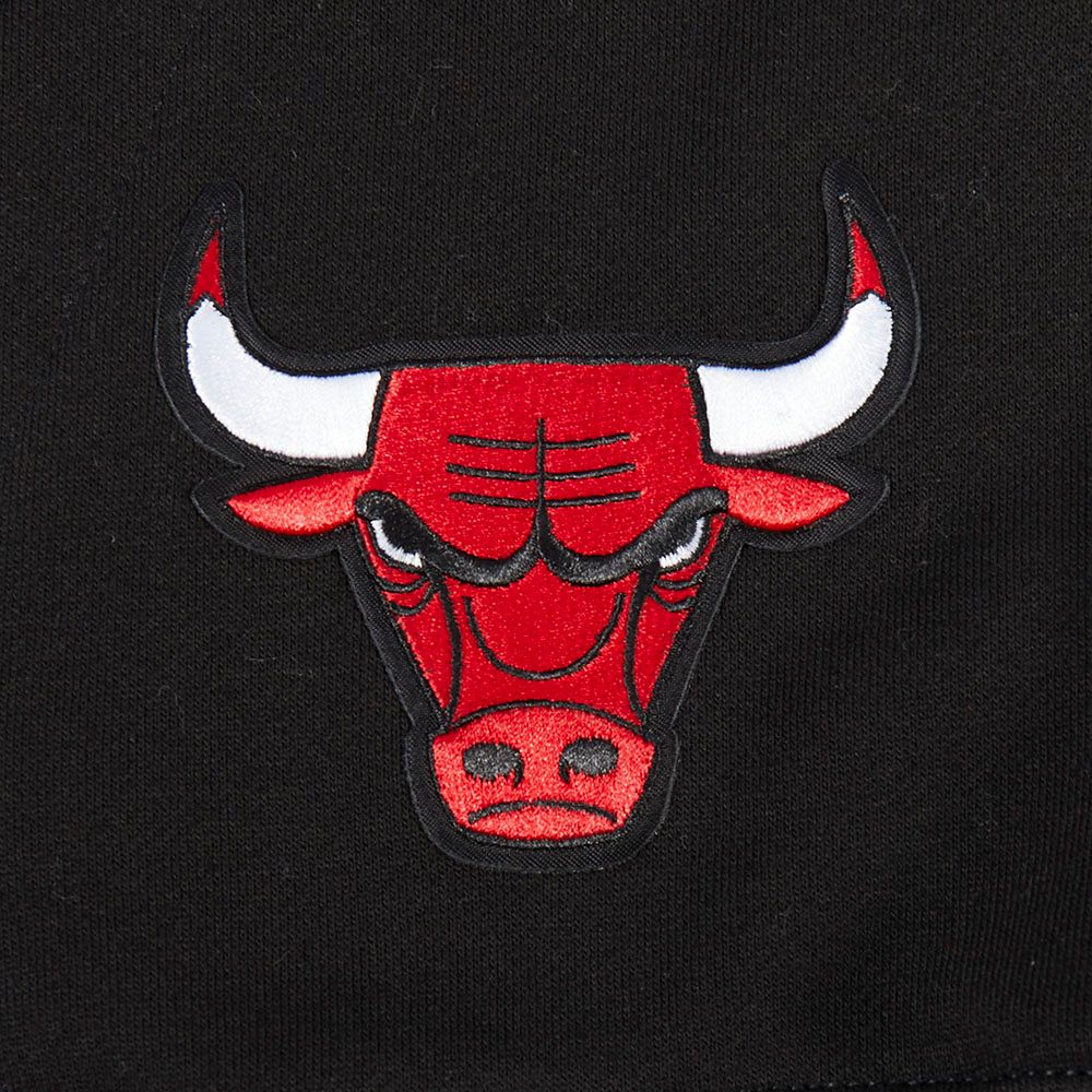 Chicago Bulls Men's Pull Over Hoodie Rib Cage