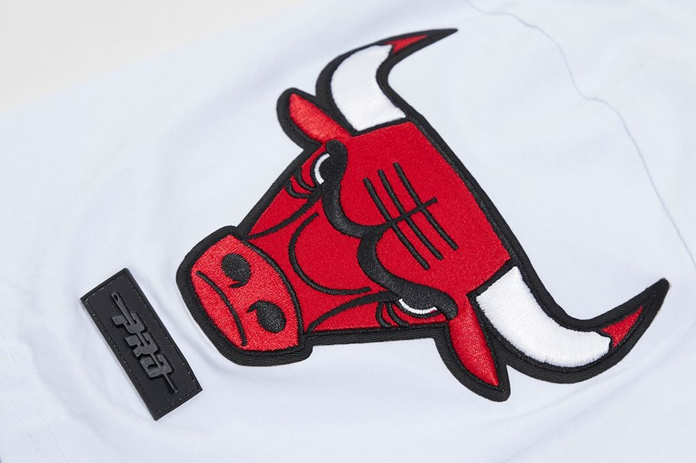 CHICAGO BULLS CLASSIC CHENILLE SJ TEE