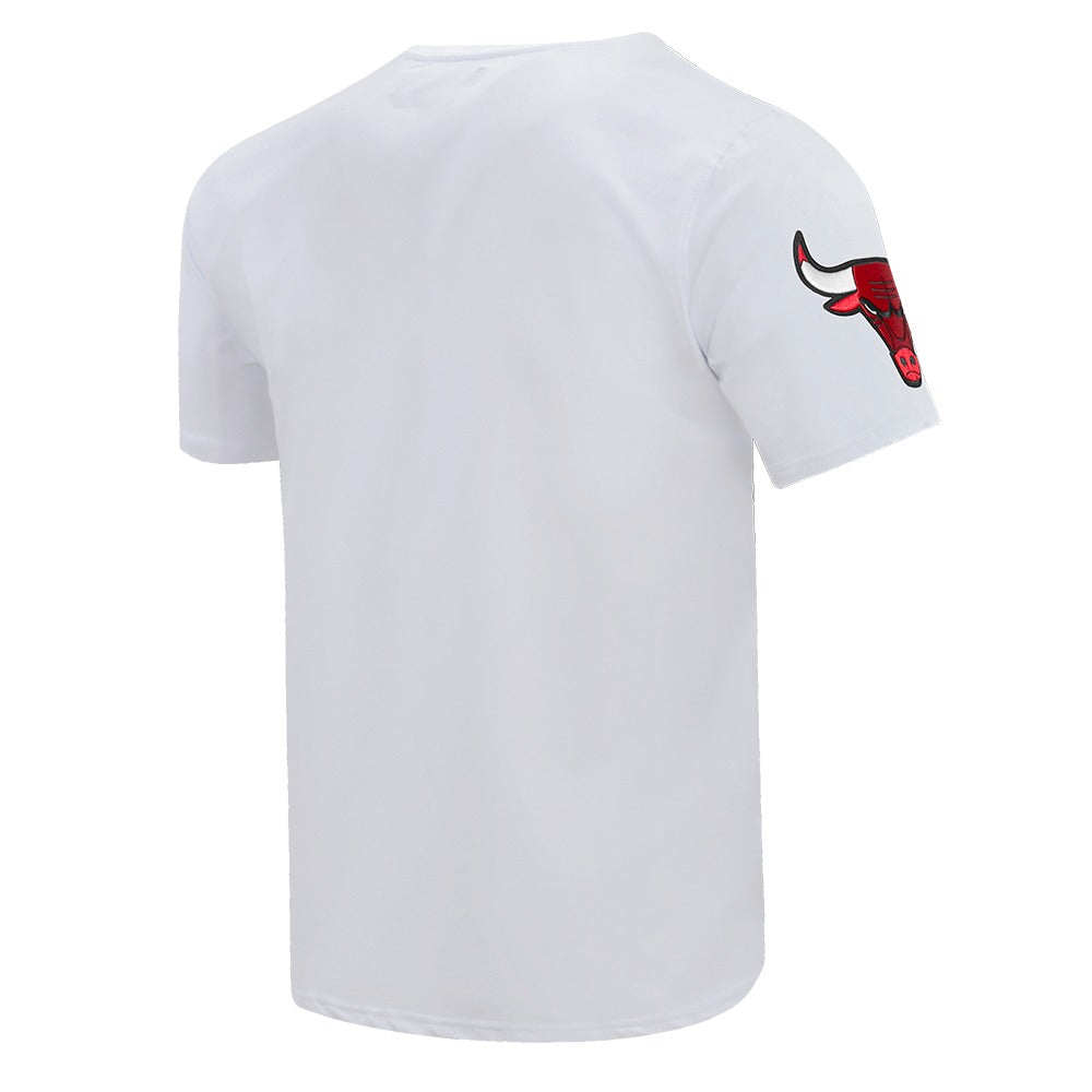 CHICAGO BULLS PRO TEAM SHIRT