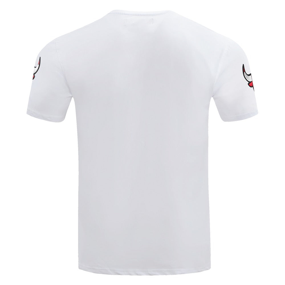 CHICAGO BULLS PRO TEAM SHIRT