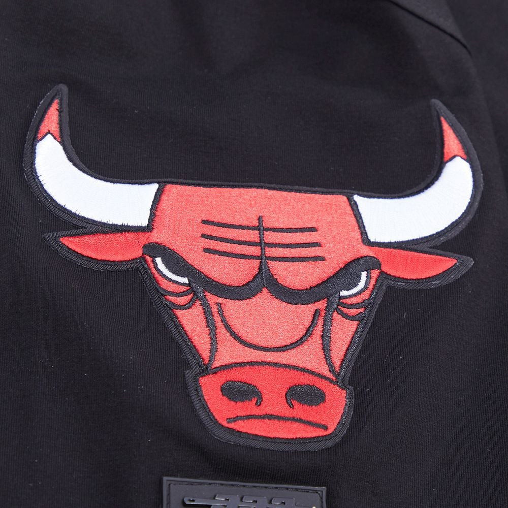 CHICAGO BULLS CLASSIC BRISTLE SJ TEE