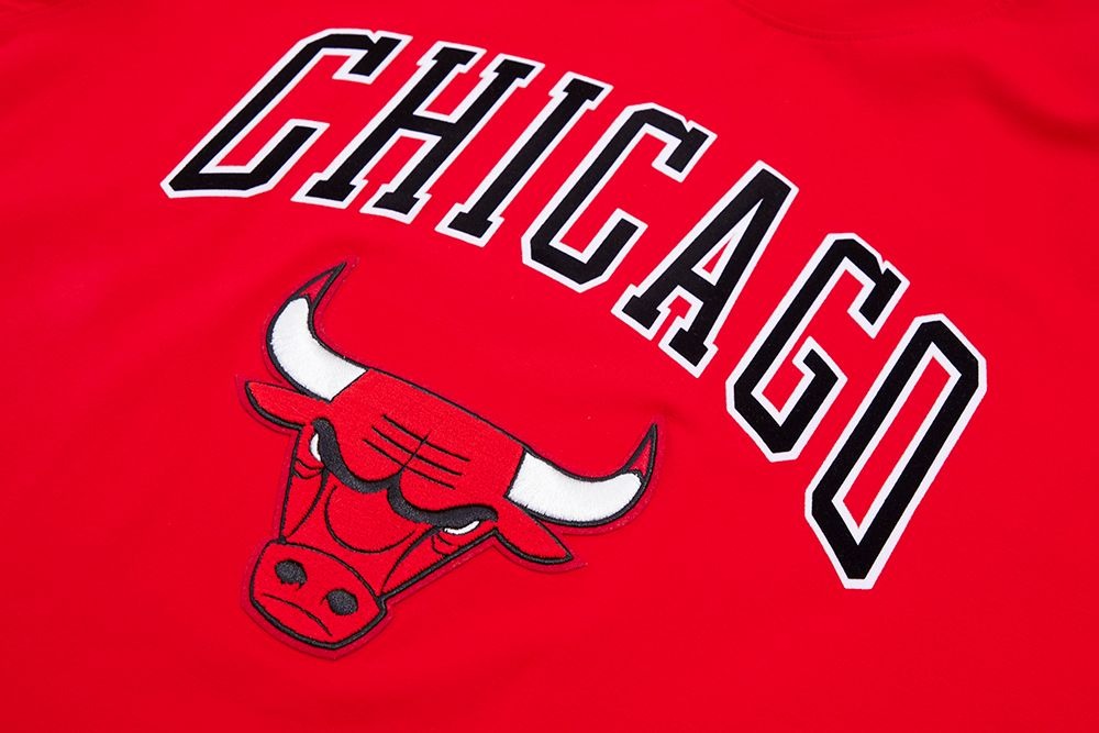 CHICAGO BULLS CLASSIC BRISTLE SJ TEE