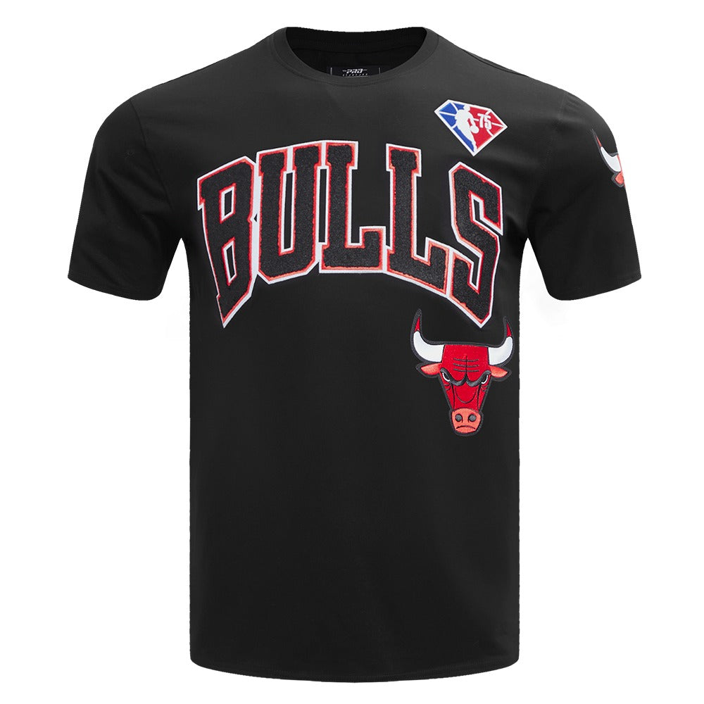 CHICAGO BULLS TEAM LOGO SHIRT - FC