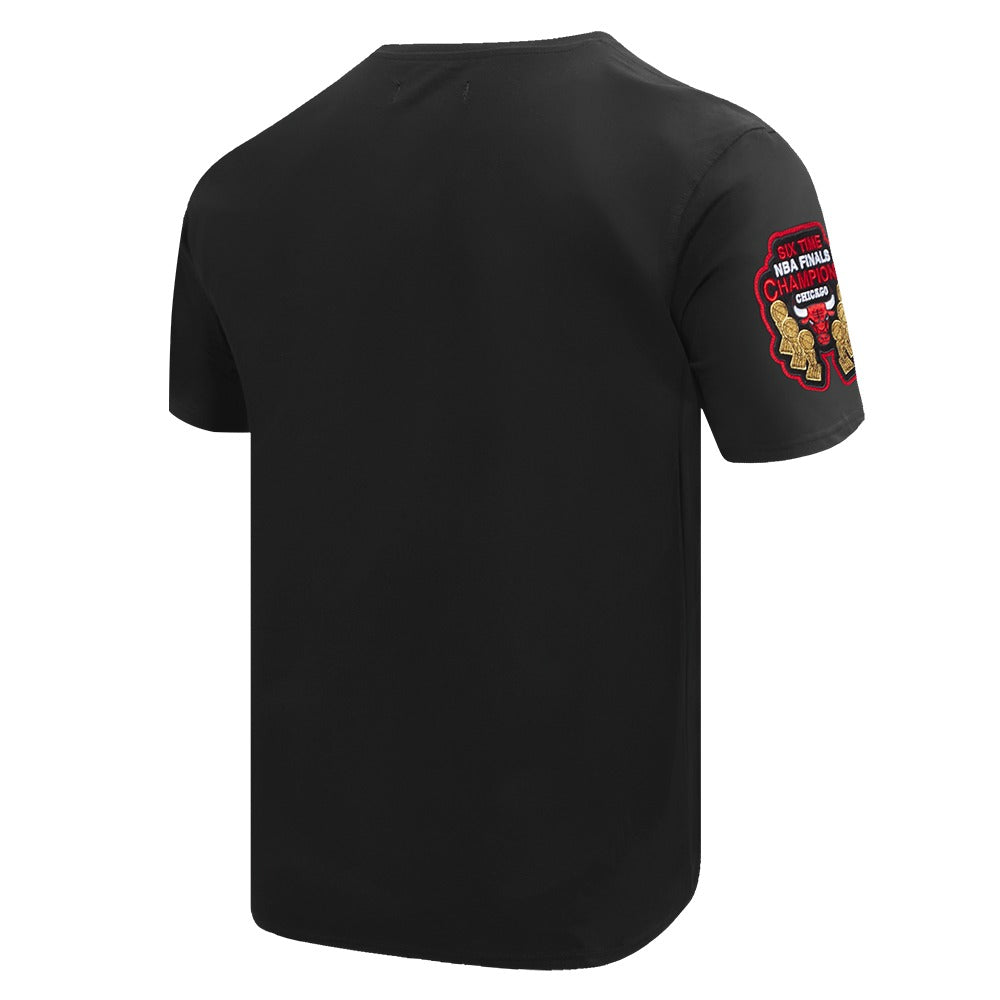 CHICAGO BULLS TEAM LOGO SHIRT - FC