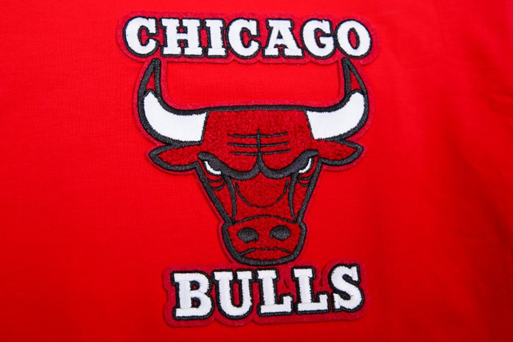 CHICAGO BULLS RETRO CLASSIC SJ STRIPED TEE