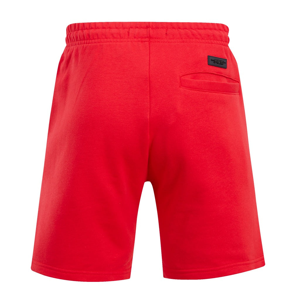 CHICAGO BULLS CLASSIC BRISTLE FLC SHORT