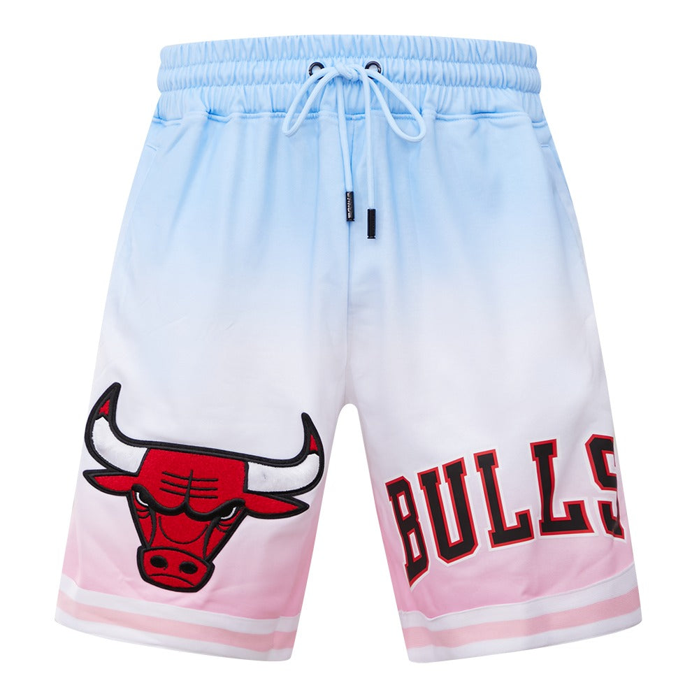 CHICAGO BULLS LOGO PRO TEAM SHORT OMBRE