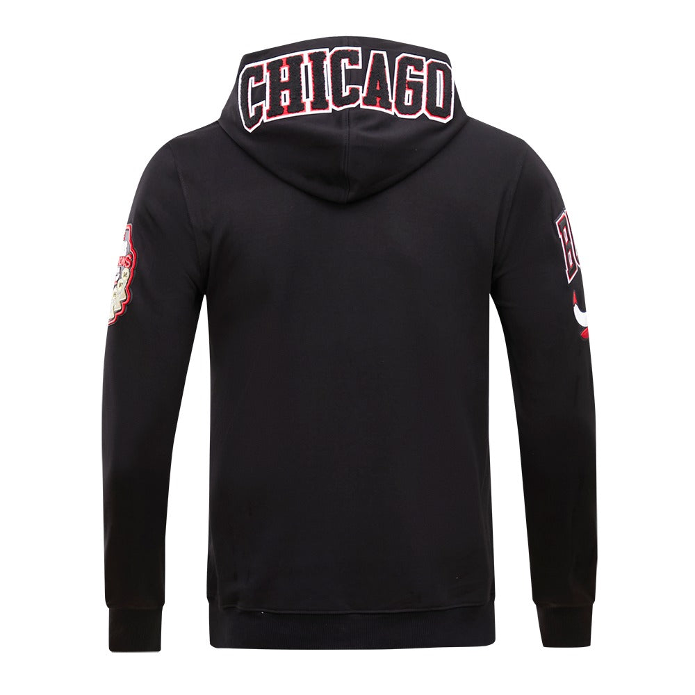 CHICAGO BULLS CLASSIC CHENILLE DK PO HOODIE