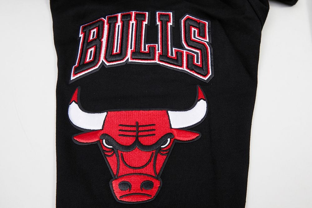 CHICAGO BULLS CLASSIC CHENILLE DK PO HOODIE