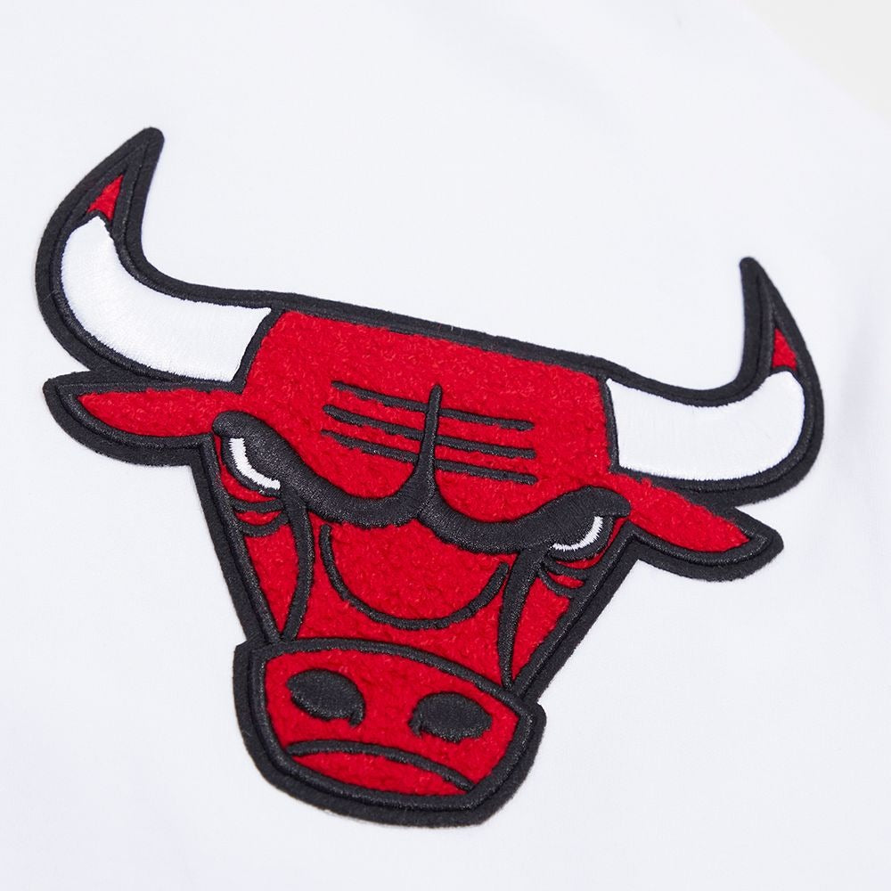 CHICAGO BULLS CLASSIC CHENILLE DK PO HOODIE