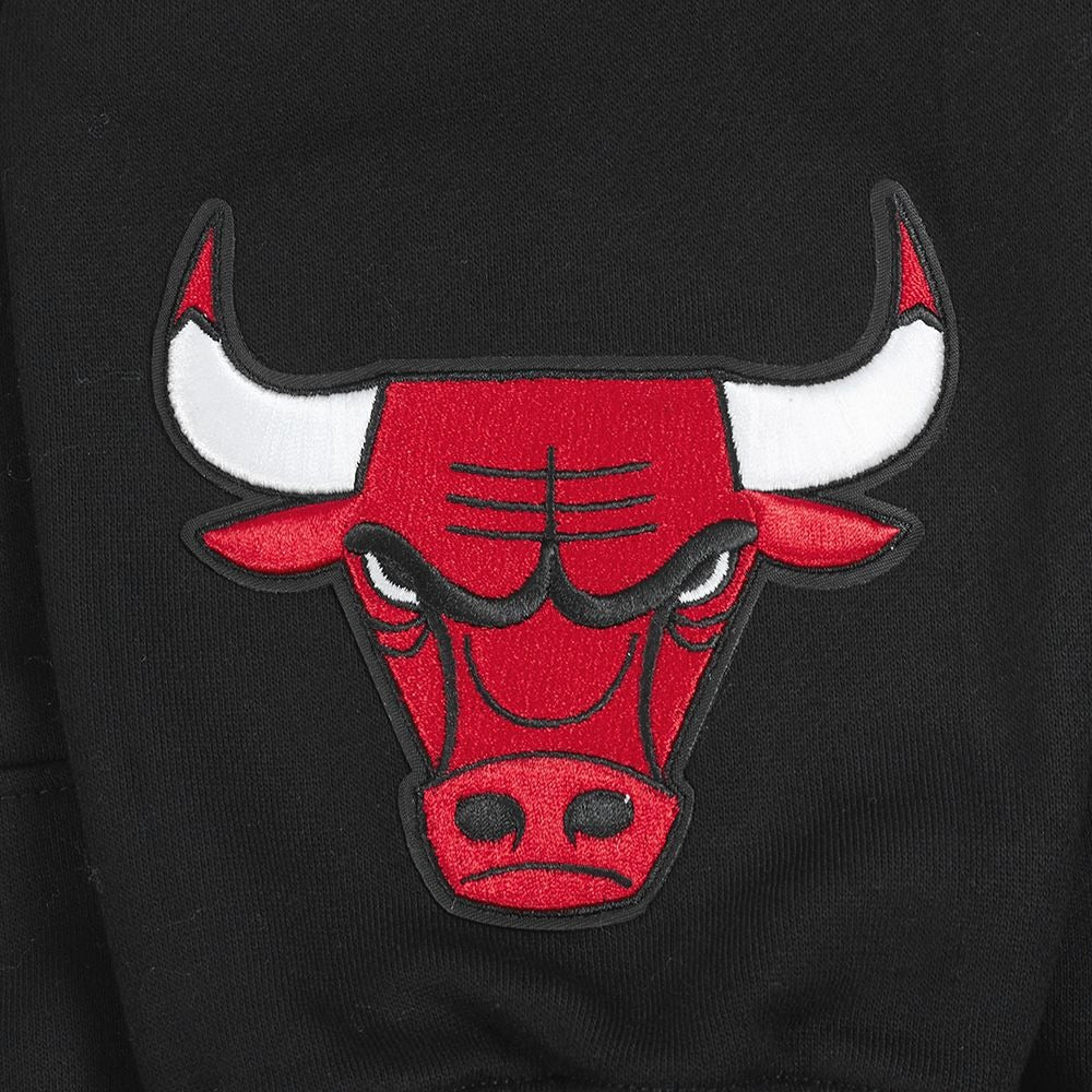 CHICAGO BULLS WINGSPAN M DROP SHOULDER FLC PO HOODIE