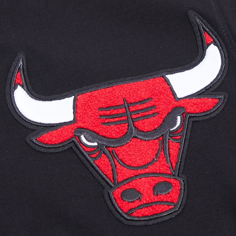 CHICAGO BULLS CLASSIC CHENILLE DK FZ PO HOODIE