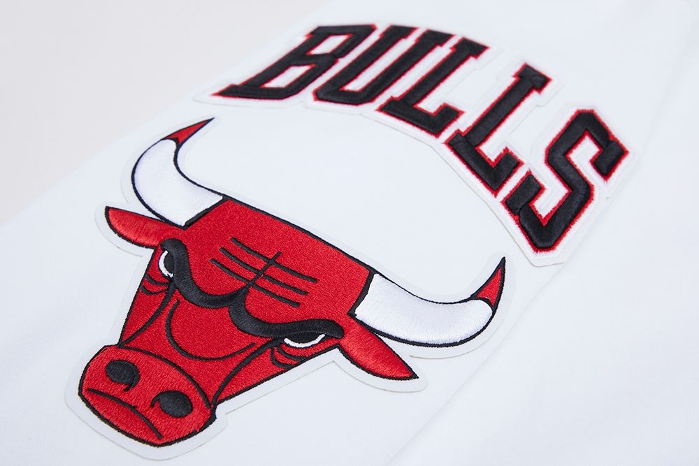 CHICAGO BULLS CLASSIC CHENILLE DK FZ PO HOODIE