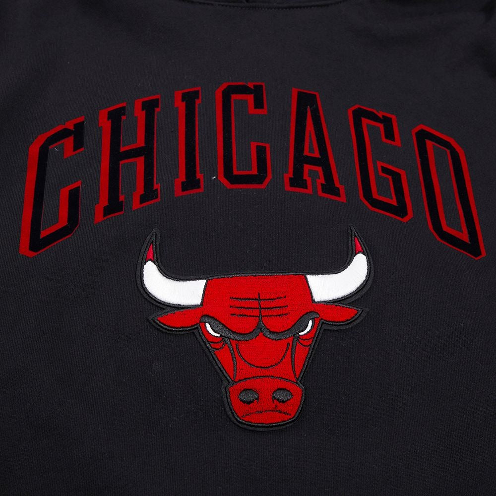 CHICAGO BULLS CLASSIC BRISTLE FLC PO HOODIE