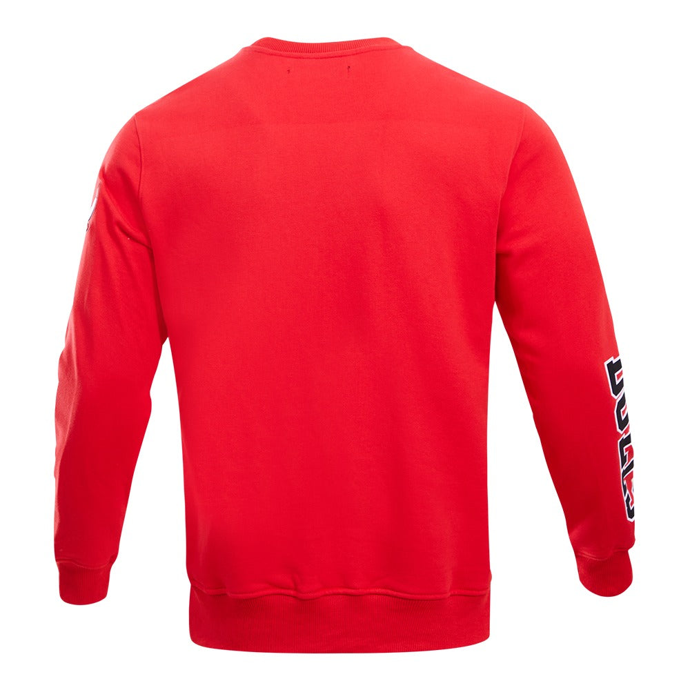 CHICAGO BULLS CLASSIC BRISTLE FLC CREWNECK