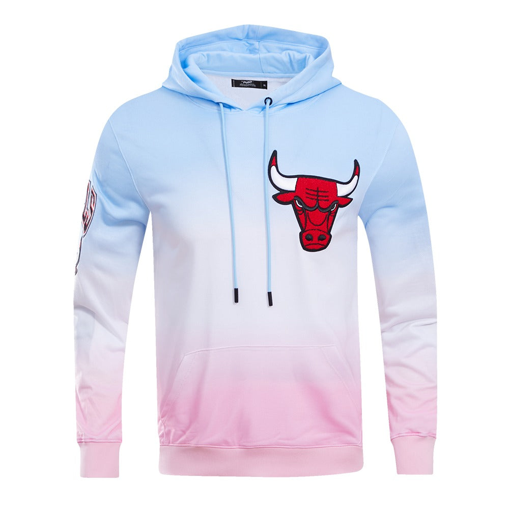 CHICAGO BULLS LOGO PRO TEAM HOODY OMBRE