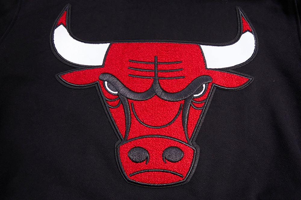 CHICAGO BULLS RETRO CLASSIC FLC PO HOODIE