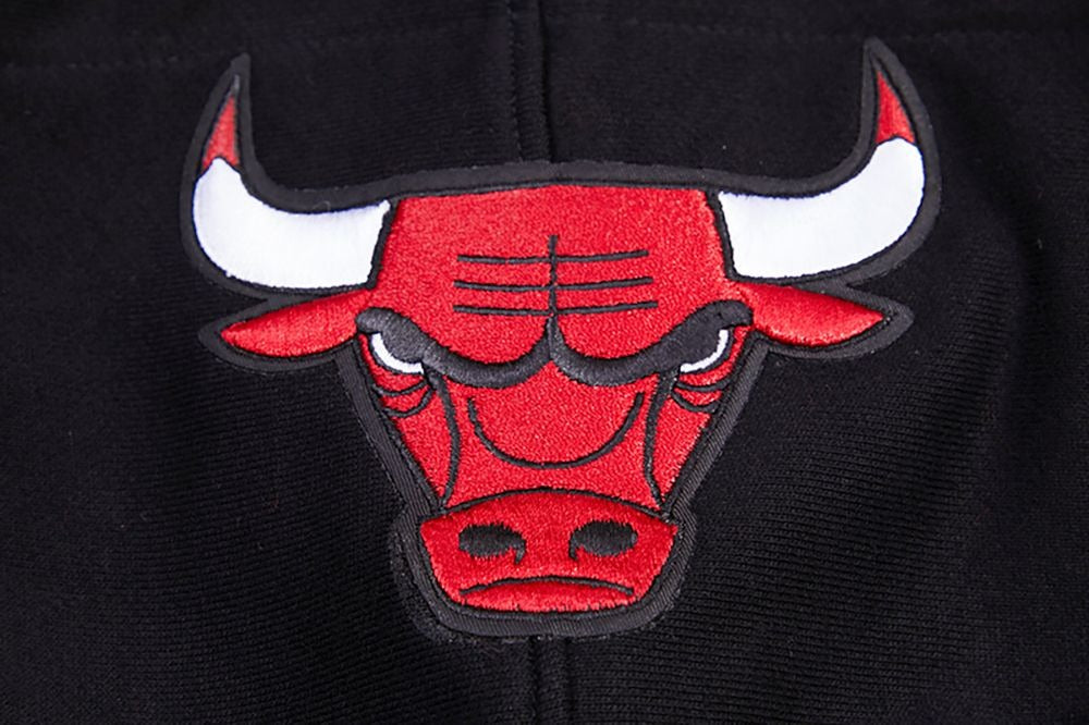 CHICAGO BULLS RETRO CLASSIC FLC PO HOODIE