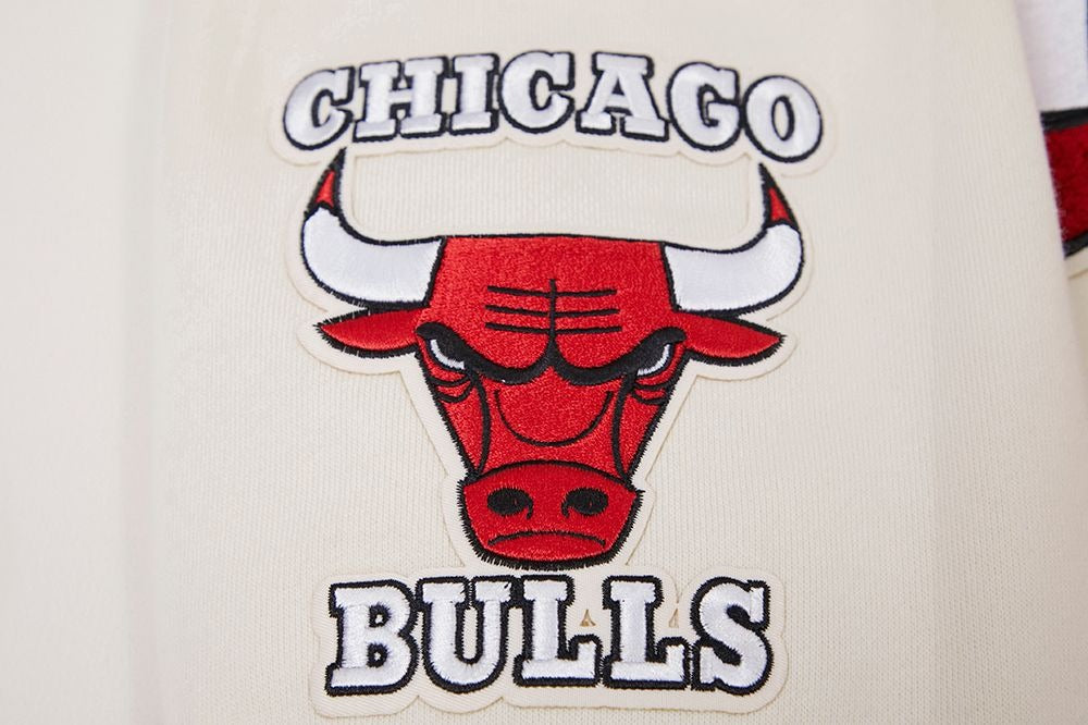 CHICAGO BULLS RETRO CLASSIC FLC PO HOODIE