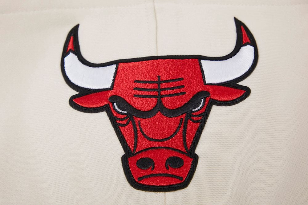 CHICAGO BULLS RETRO CLASSIC FLC PO HOODIE