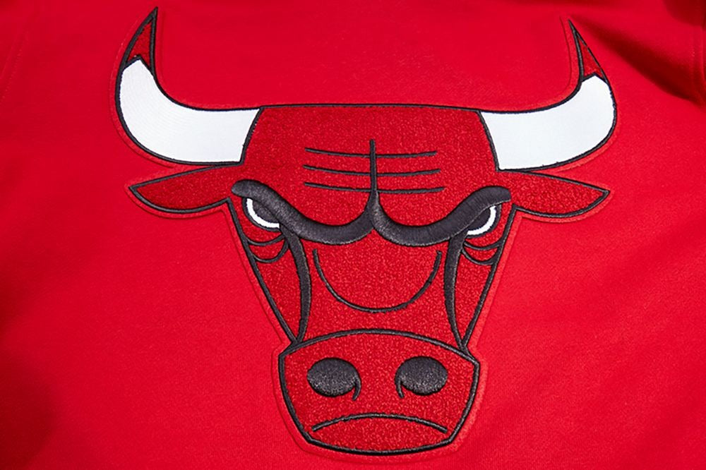 CHICAGO BULLS RETRO CLASSIC FLC PO HOODIE