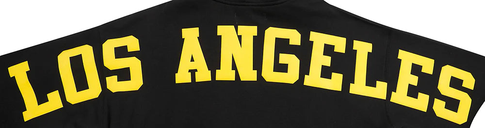 NBA LOS ANGELES LAKERS WINGSPAN MEN'S DROP SHOULDER FLEECE PULLOVER HOODIE