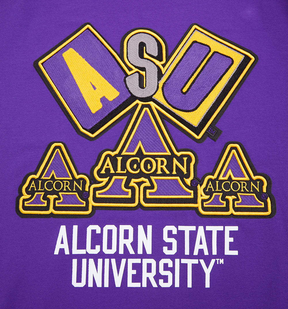 ALCORN STATE UNIVERSITY HOMECOMING SINGLE JERSEY MEN'S TEE