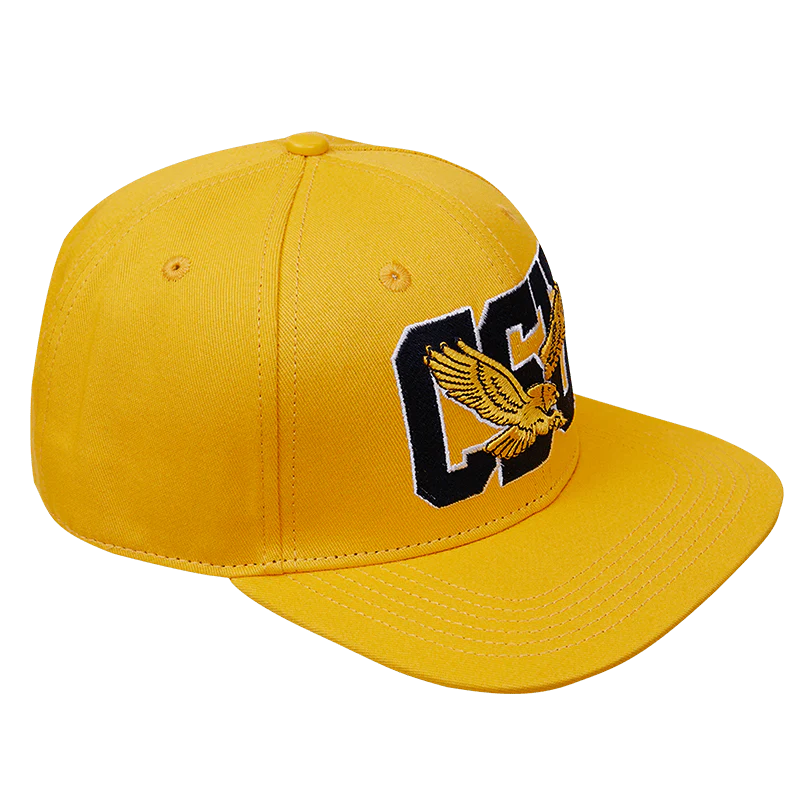 COPPIN STATE UNIVERSITY CLASSIC UNISEX WOOL SNAPBACK HAT
