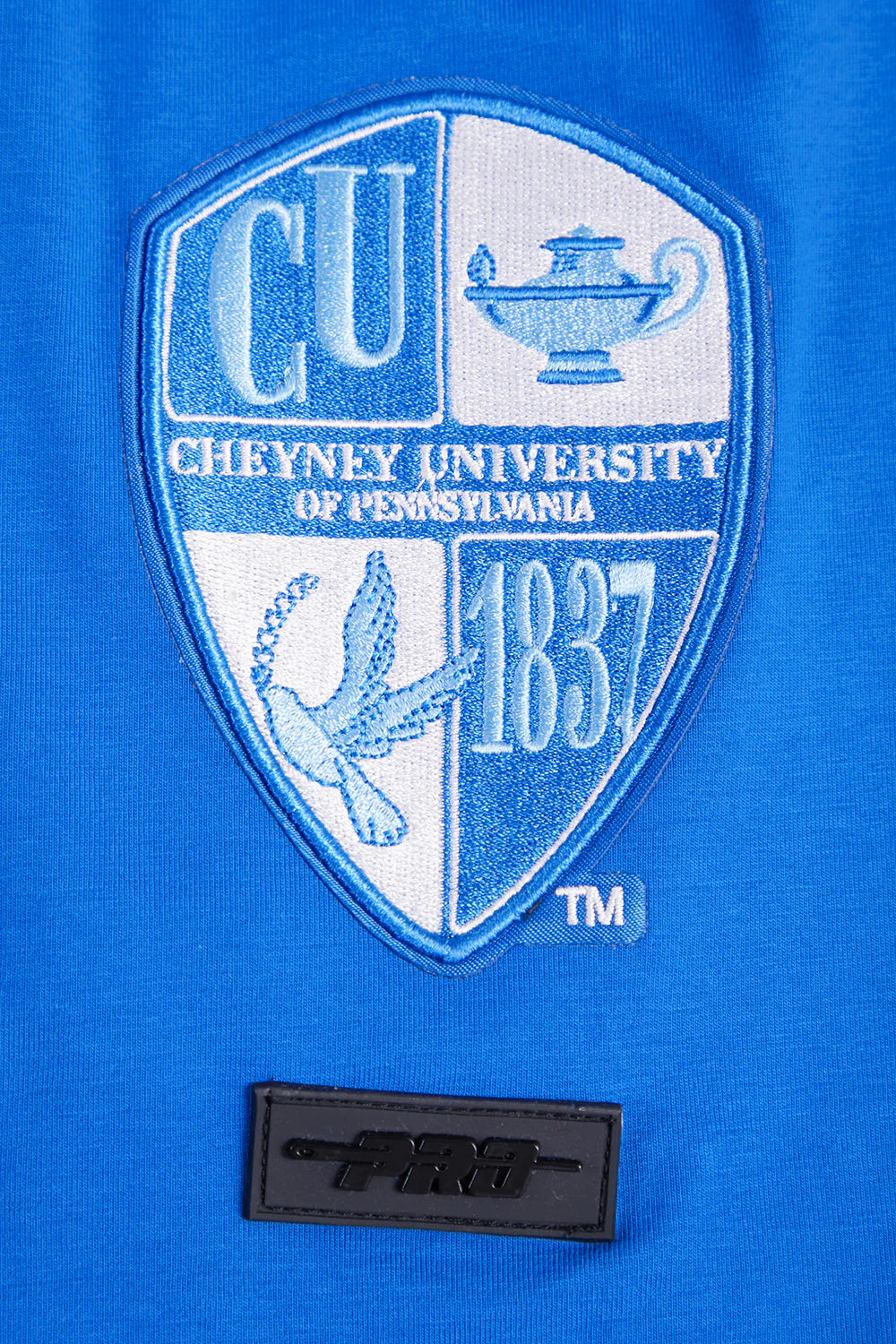 CHEYNEY UNIVERSITY OF PENNSYLVANIA HOMECOMING SINGLE JERSEY MEN'S TEE
