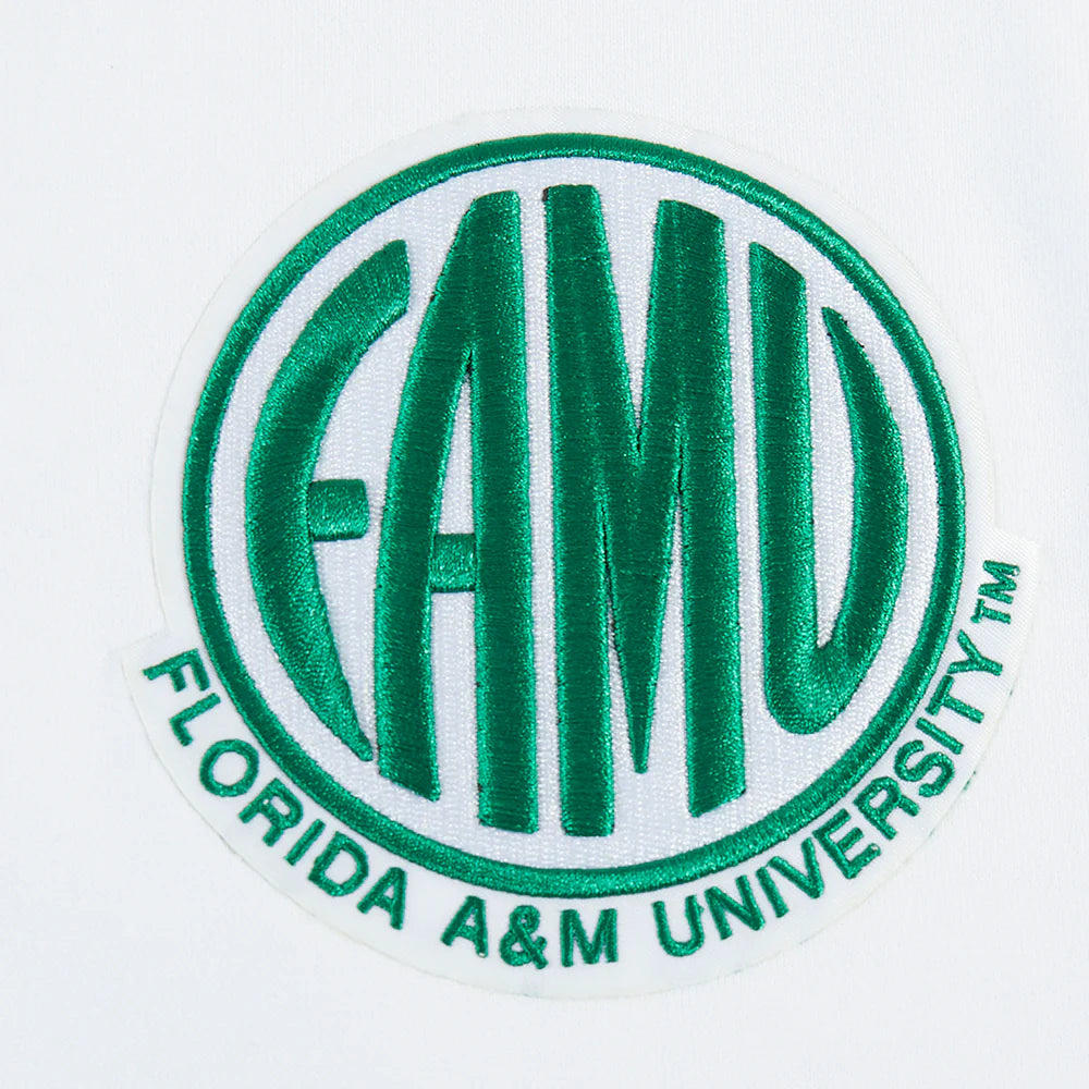 FLORIDA A&M UNIVERSITY CLASSIC MEN'S STACKED LOGO PULLOVER HOODIE