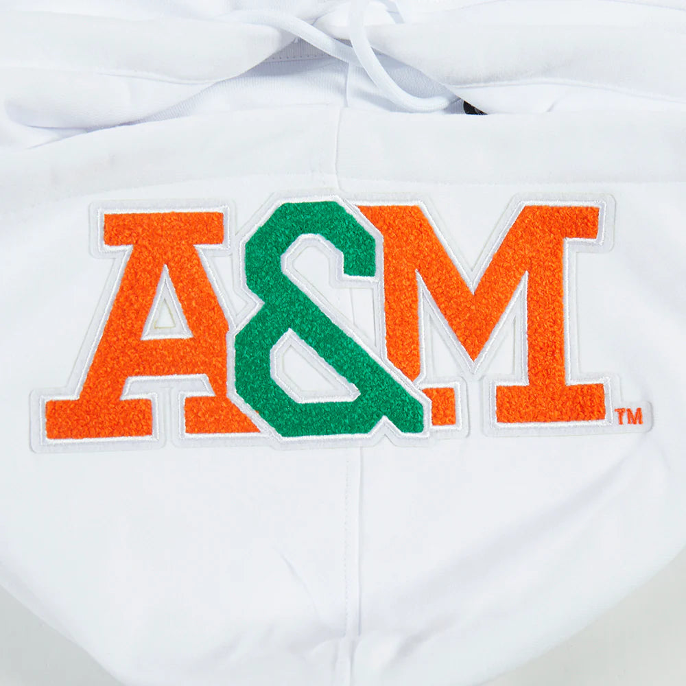 FLORIDA A&M UNIVERSITY CLASSIC MEN'S STACKED LOGO PULLOVER HOODIE