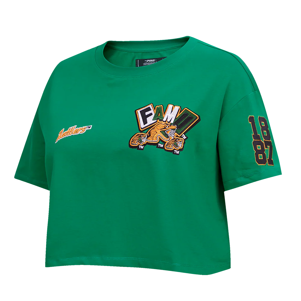 FLORIDA A&M UNIVERSITY HOMECOMING SINGLE JERSEY BOXY TEE