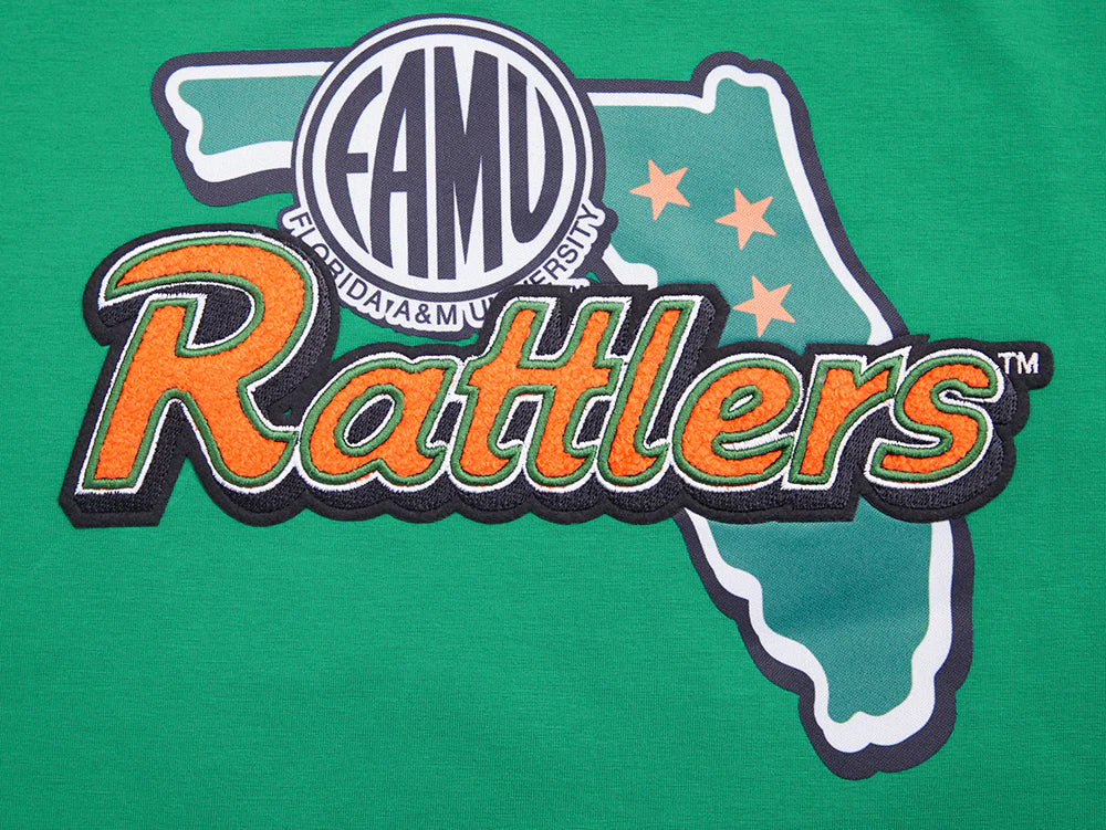 FLORIDA A&M UNIVERSITY HOMECOMING SINGLE JERSEY BOXY TEE