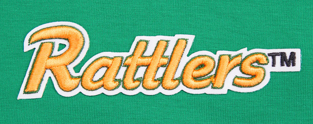 FLORIDA A&M UNIVERSITY HOMECOMING SINGLE JERSEY BOXY TEE