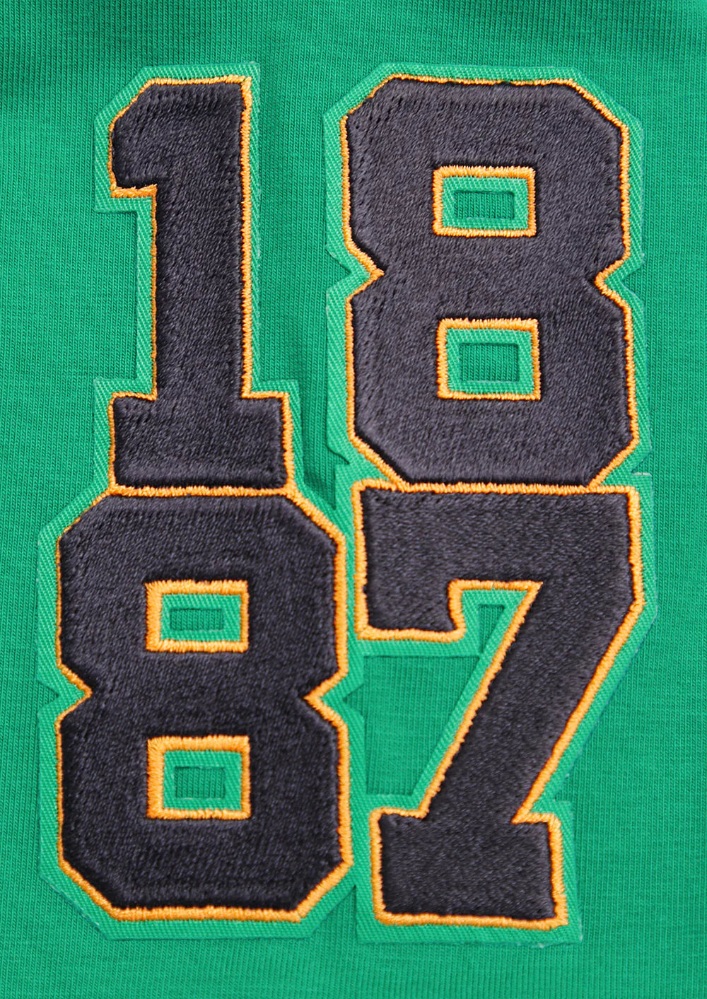 FLORIDA A&M UNIVERSITY HOMECOMING SINGLE JERSEY BOXY TEE