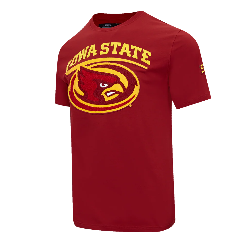 IOWA STATE UNIVERSITY CLASSIC MEN'S STACKED LOGO TEE