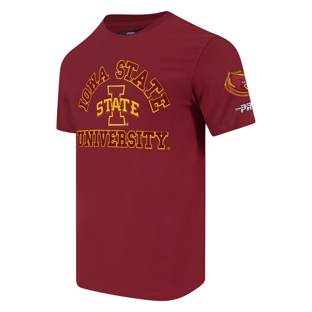 COLLEGE IOWA STATE UNIVERSITY COLLEGE CLASSIC CHENILLE MEN'S SJ TEE