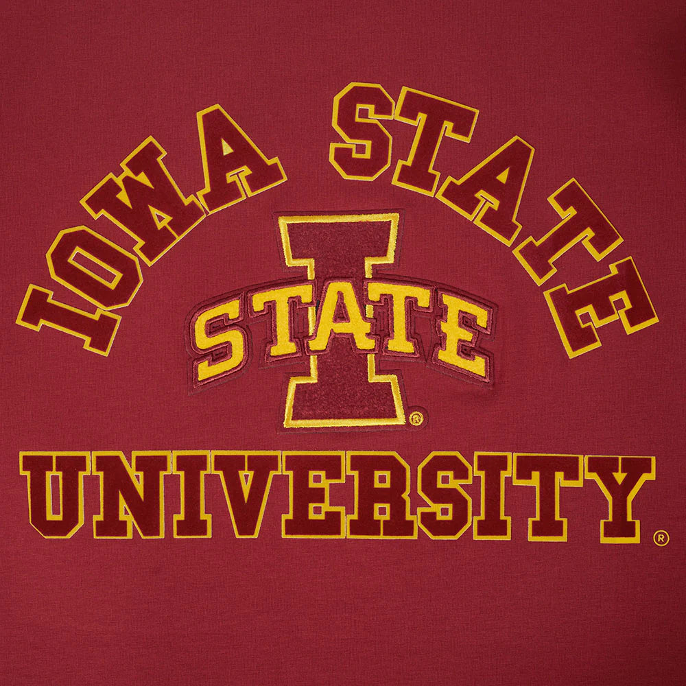 COLLEGE IOWA STATE UNIVERSITY COLLEGE CLASSIC CHENILLE MEN'S SJ TEE