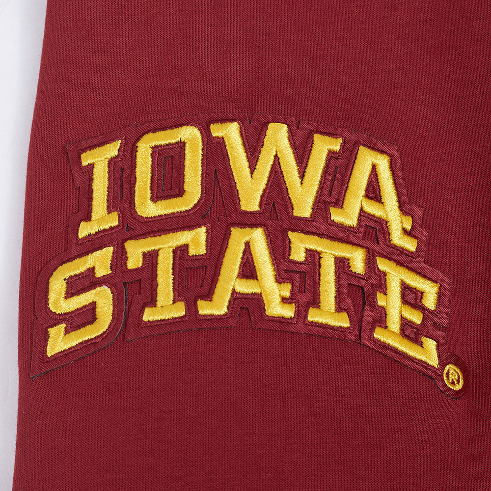 IOWA STATE UNIVERSITY CLASSIC MEN'S FZ PO HOODIE