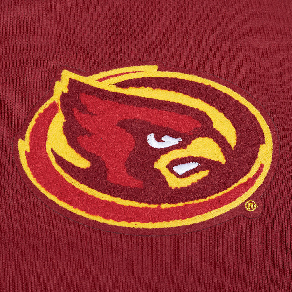 IOWA STATE UNIVERSITY CLASSIC MEN'S FZ PO HOODIE