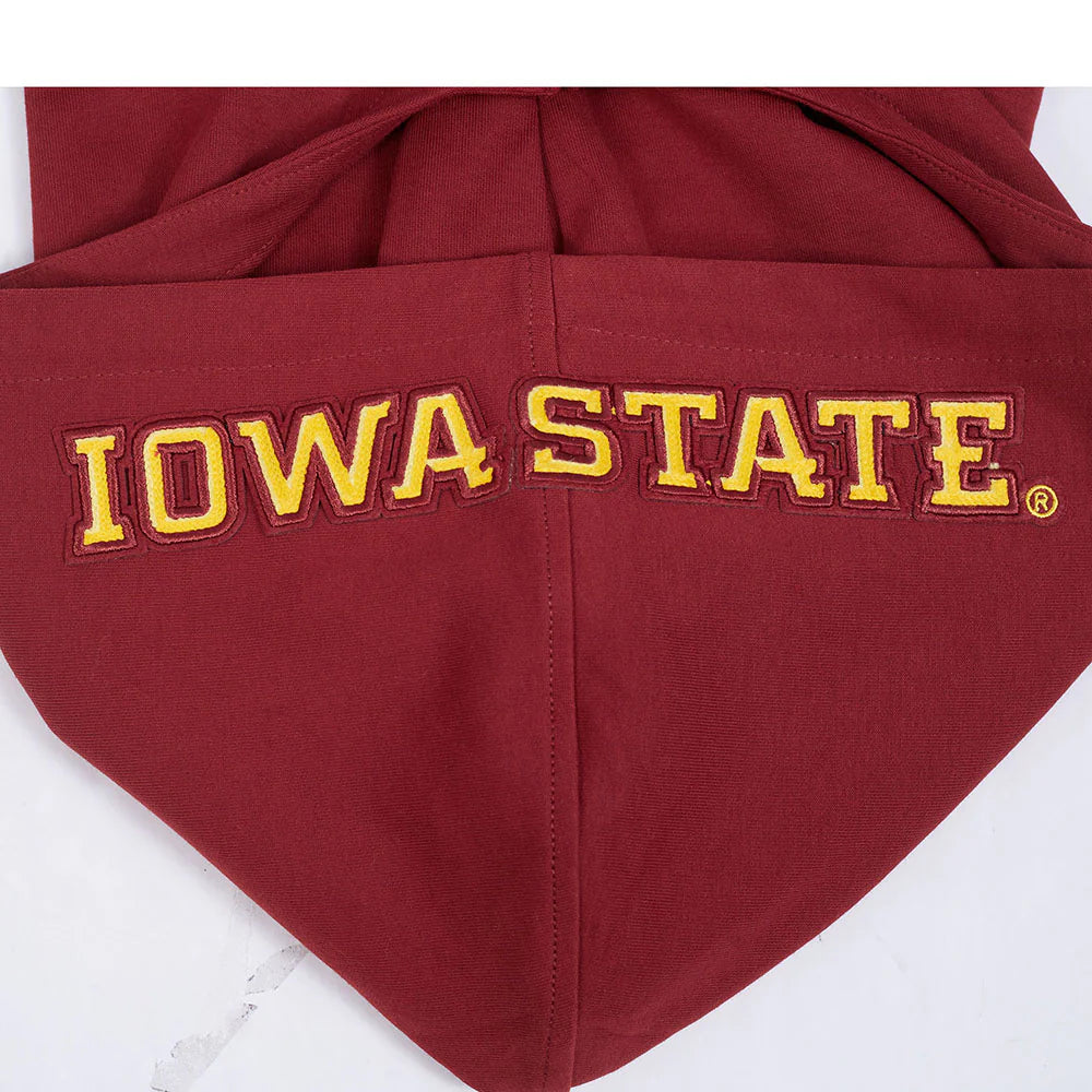 IOWA STATE UNIVERSITY CLASSIC MEN'S FZ PO HOODIE