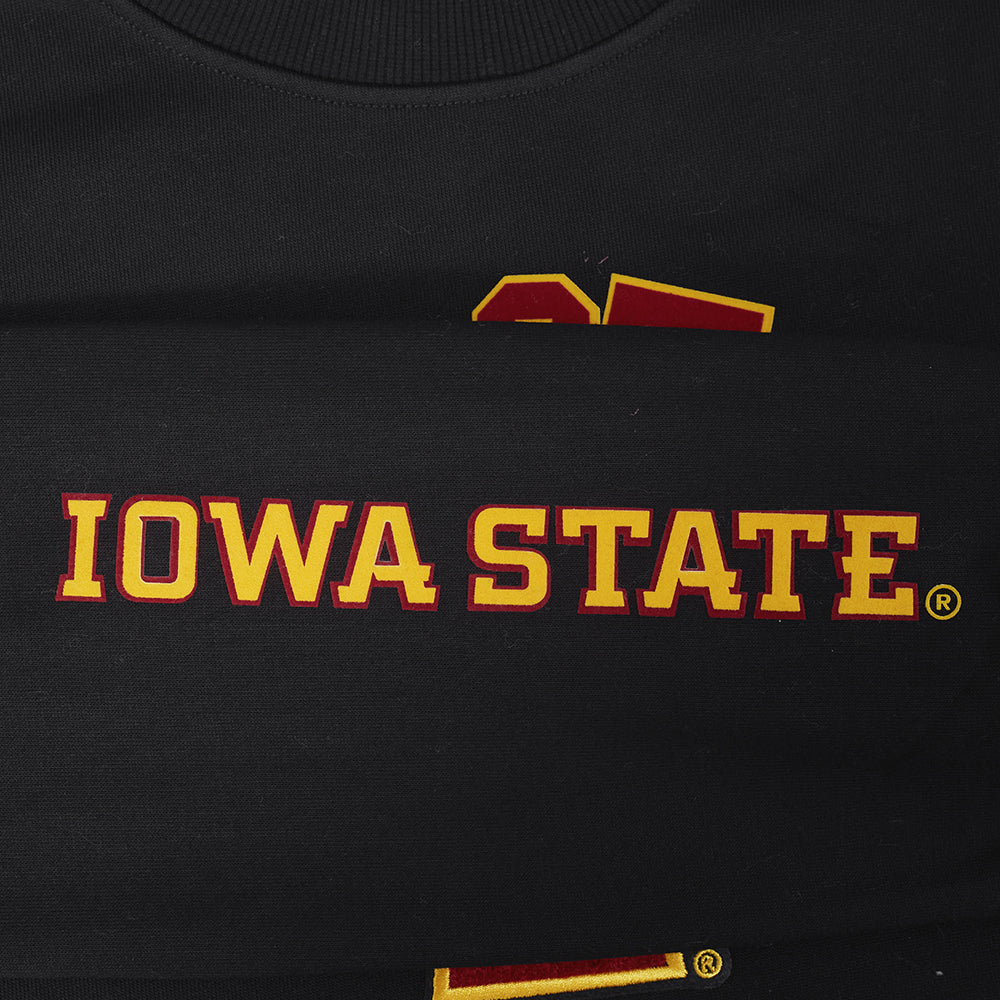 COLLEGE IOWA STATE UNIVERSITY COLLEGE CLASSIC CHENILLE MEN'S RIB FLC CREWNECK