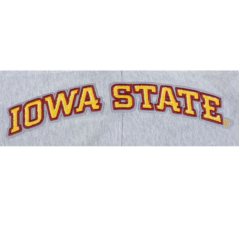 COLLEGE IOWA STATE UNIVERSITY COLLEGE CLASSIC CHENILLE MEN'S RIB FLC PO HOODIE