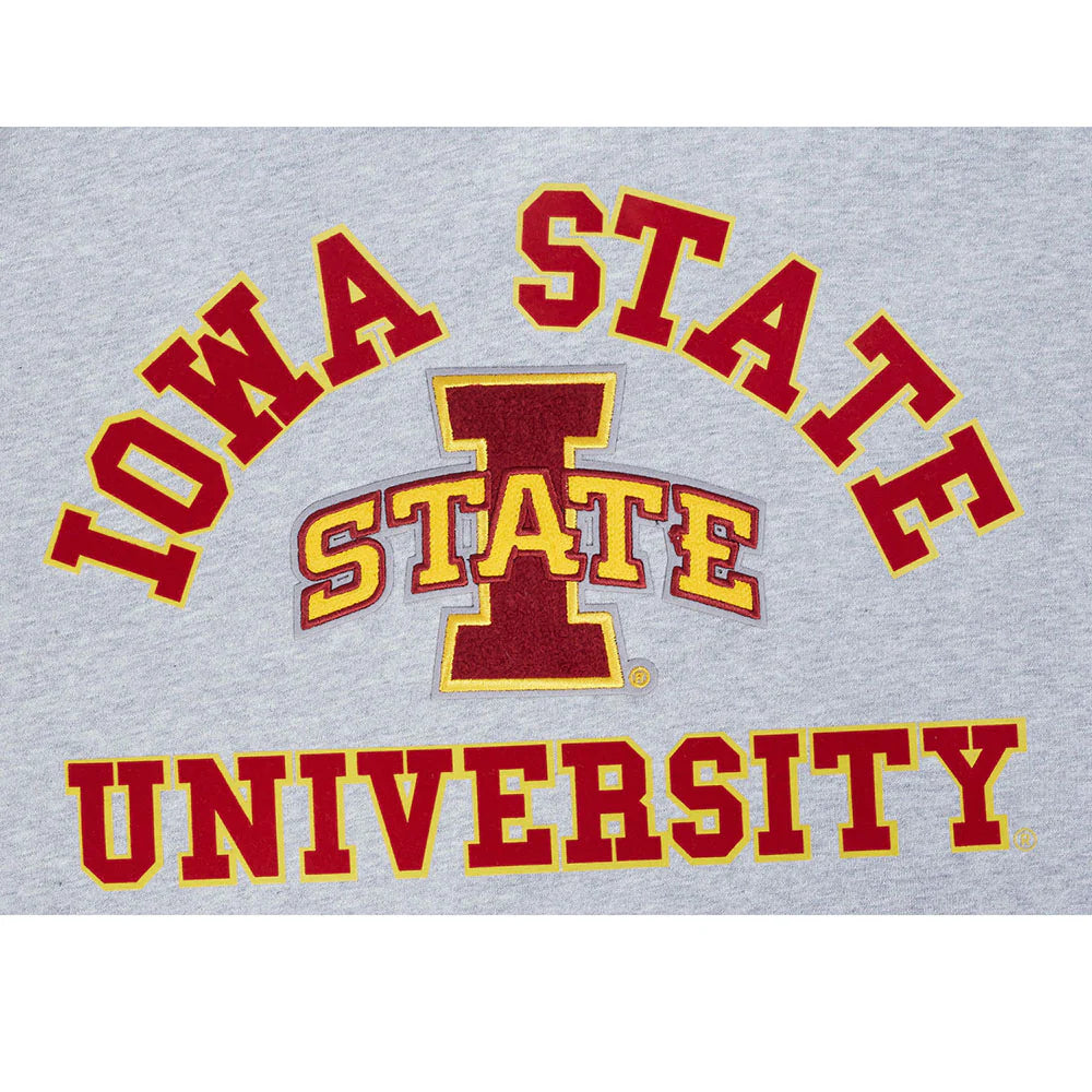 COLLEGE IOWA STATE UNIVERSITY COLLEGE CLASSIC CHENILLE MEN'S RIB FLC PO HOODIE