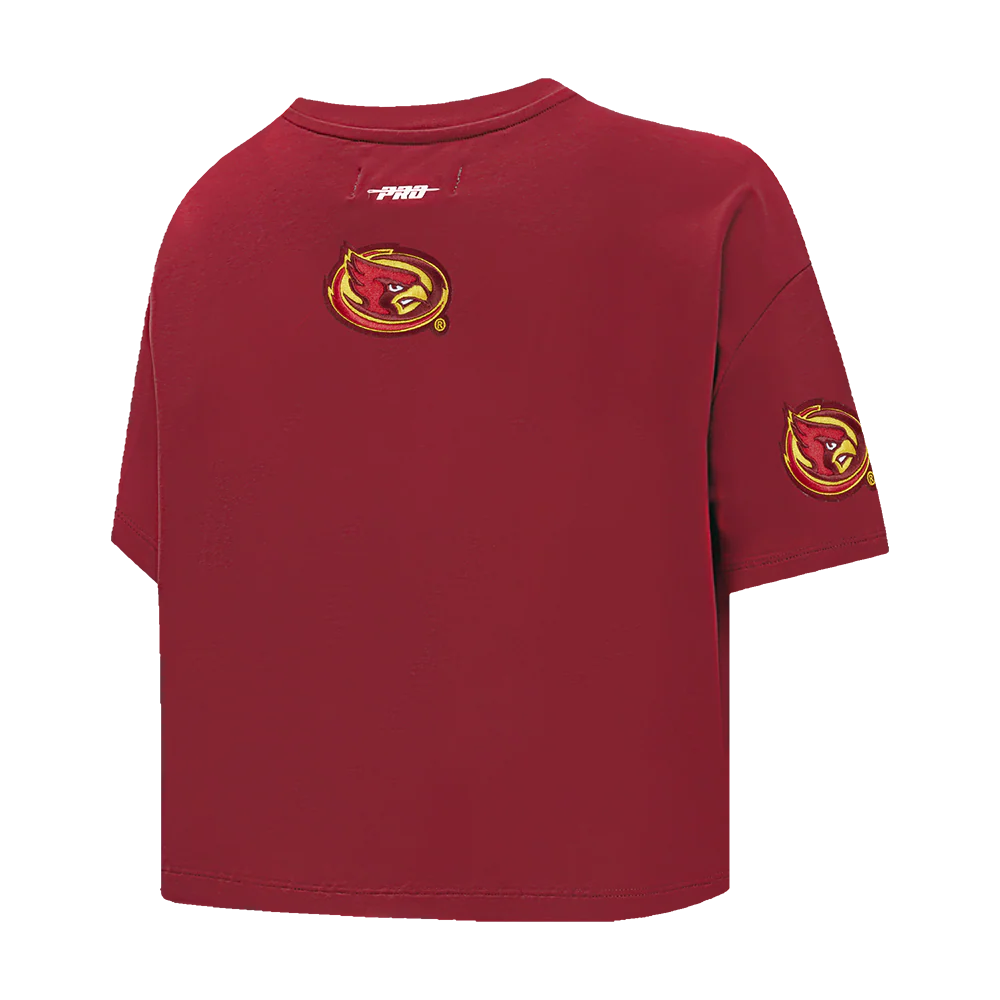 COLLEGE IOWA STATE UNIVERSITY COLLEGE CLASSIC ESSENTIALS WOMEN'S SJ BOXY TEE