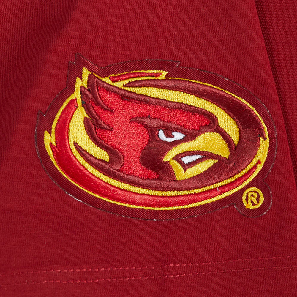 COLLEGE IOWA STATE UNIVERSITY COLLEGE CLASSIC ESSENTIALS WOMEN'S SJ BOXY TEE