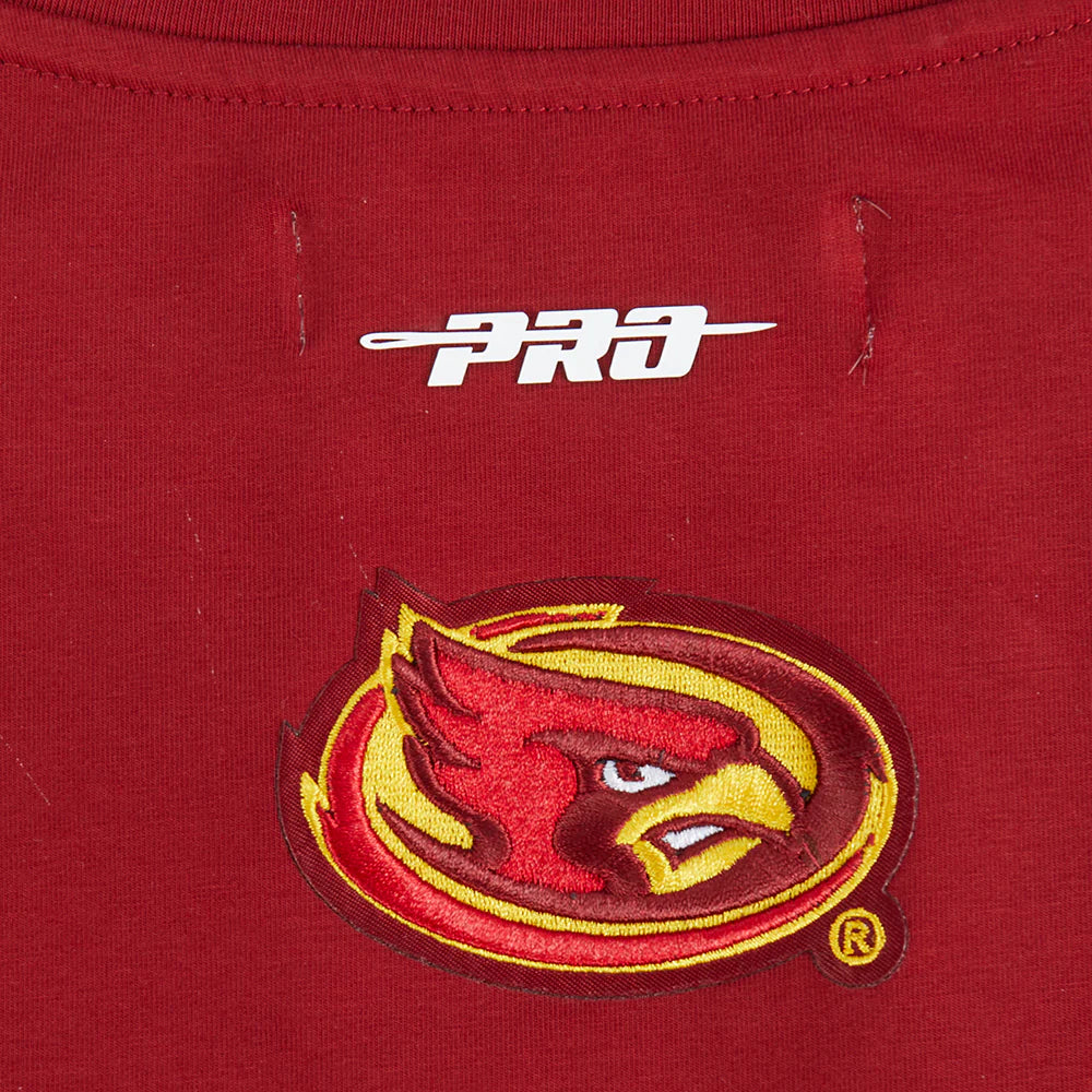 COLLEGE IOWA STATE UNIVERSITY COLLEGE CLASSIC ESSENTIALS WOMEN'S SJ BOXY TEE