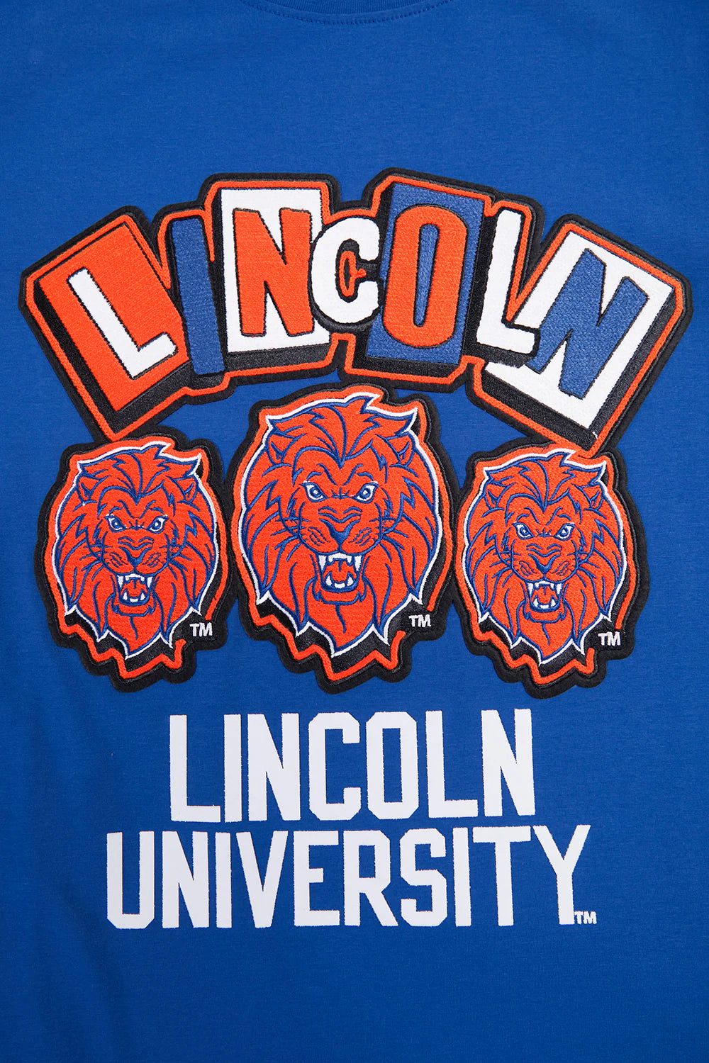 LINCOLN UNIVERSITY HOMECOMING SINGLE JERSEY MEN'S TEE