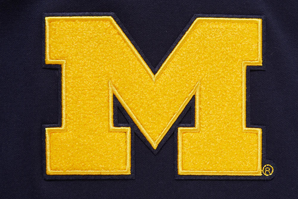 UNIVERSITY OF MICHIGAN CLASSIC MEN'S PULLOVER HOODIE