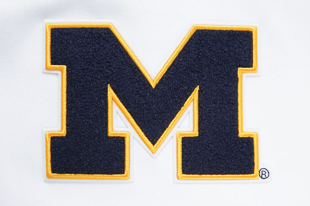 UNIVERSITY OF MICHIGAN CLASSIC MEN'S PO HOODIE